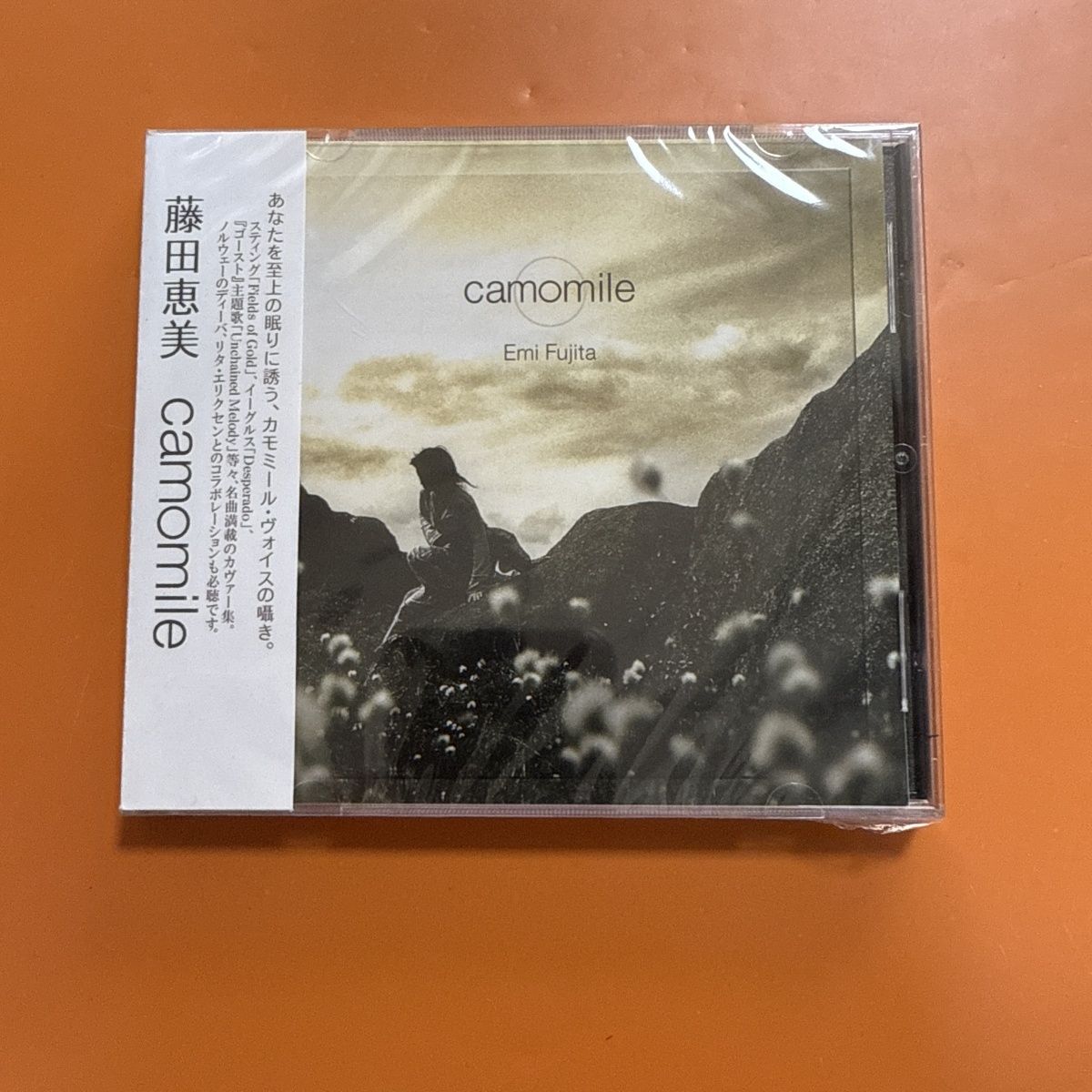 Musical Instrument In Japanese - Healing-stijl Japanse Folk Pop CD, zachte