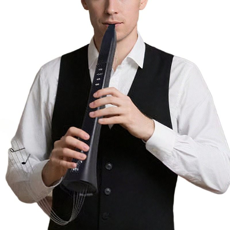 Draagbaar elektronisch blaasin - Musical Instrument Of recensie en prijs