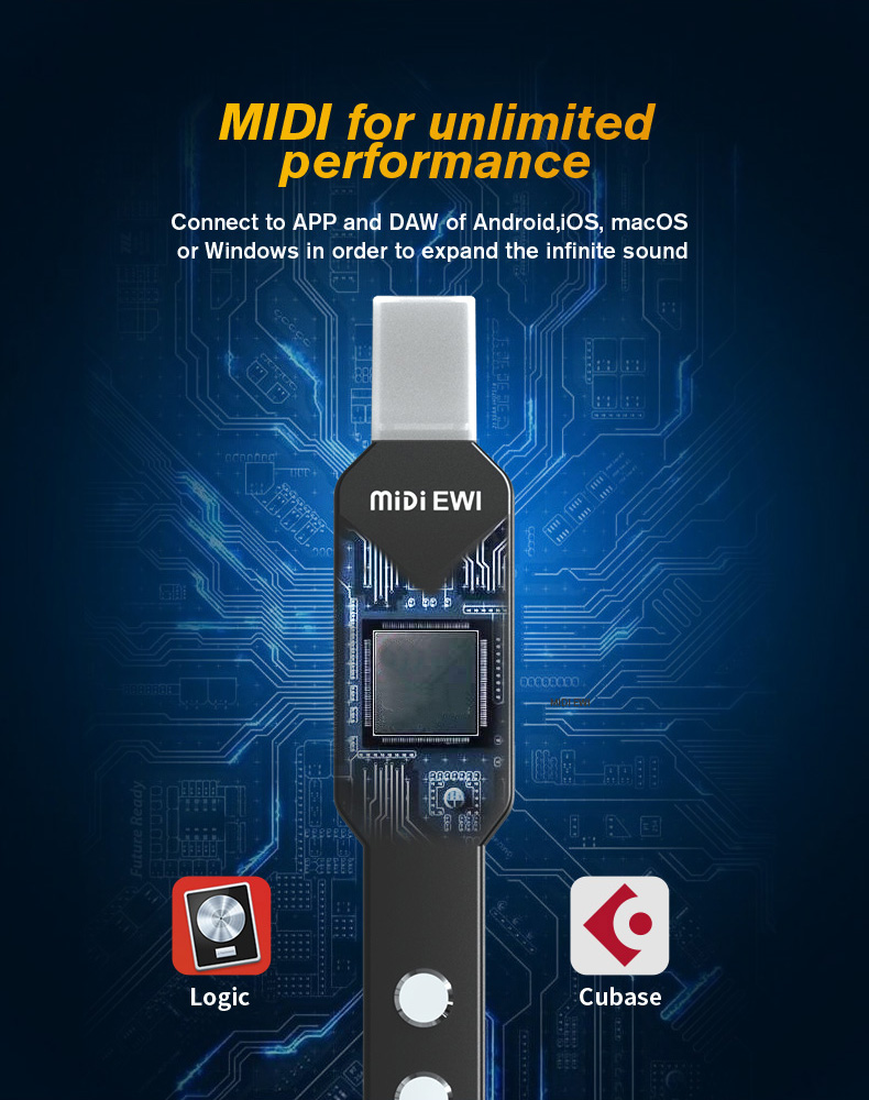 upgrade Mini Digitale Elektron - Musical Instrument Fagot recensie en prijs