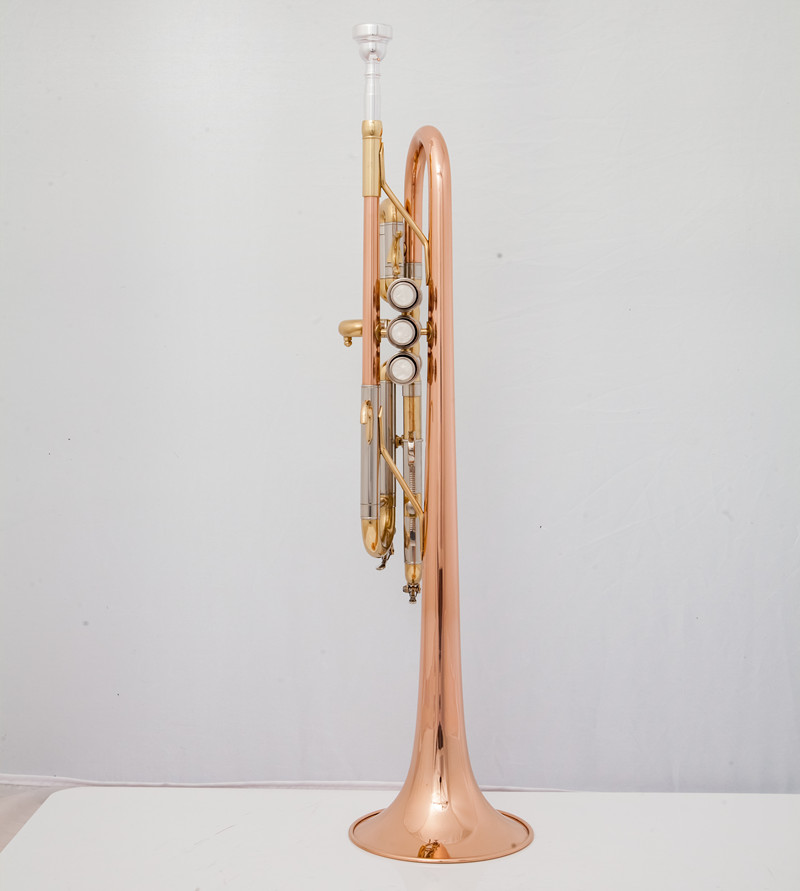 Professionele C-trompet Muziek - Musical Instrument Fagot recensie en prijs