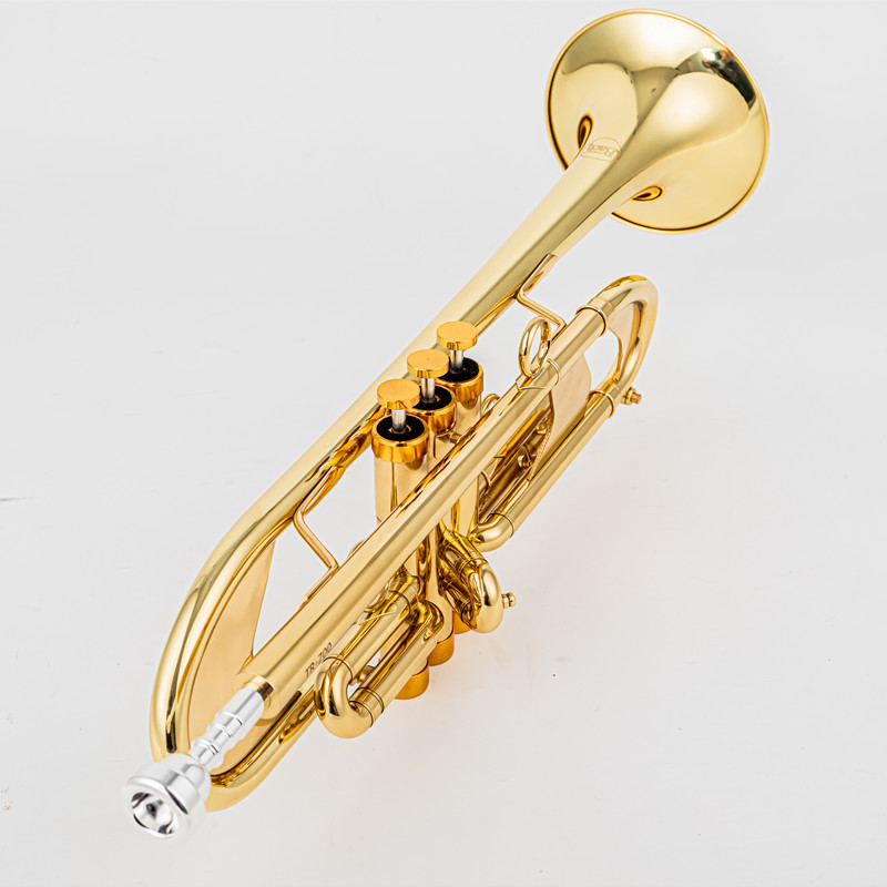 Vincent BACH 700Bb Trompet B P - Musical Instrument Fagot recensie en prijs
